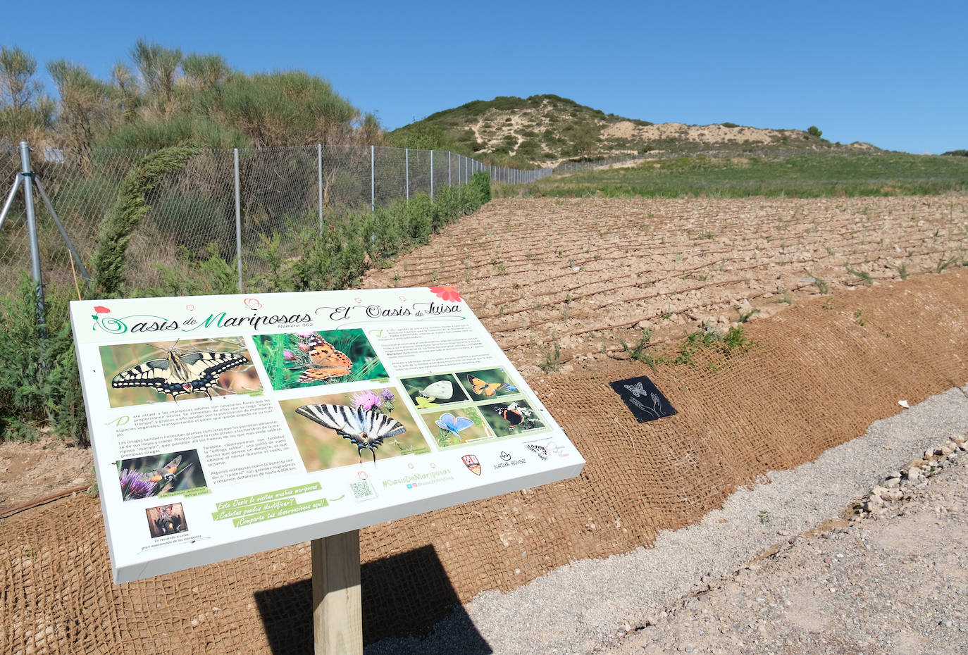 Inauguración oficial de la ciudad deportiva de la UD Logroñés