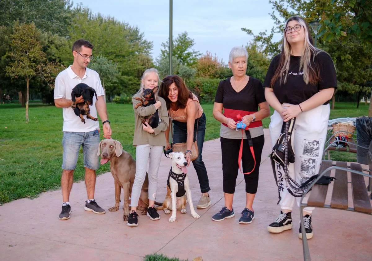 El cambio de última hora en la Ley animal y que afecta al nuevo seguro para  perros