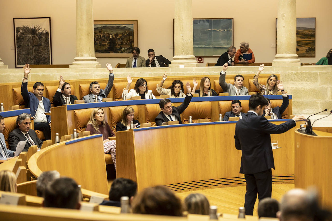 El pleno del Parlamento de La Rioja en imágenes