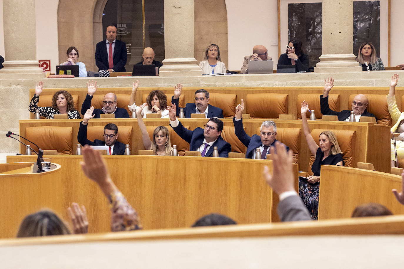 El pleno del Parlamento de La Rioja en imágenes