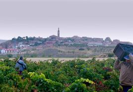 Fotograma del documental Rioja, la tierra de los mil vinos.