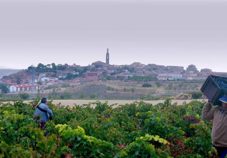 Fotograma del documental Rioja, la tierra de los mil vinos.