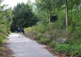 Los bancos del camino que lleva hacia el Muelo están cubiertos por matorrales, haciendo imposible su uso por los caminantes.