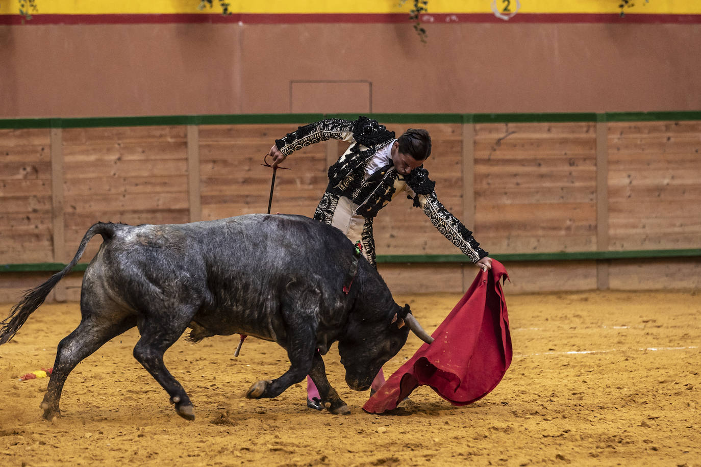 Así ha sido la novillada de toros en Arnedo