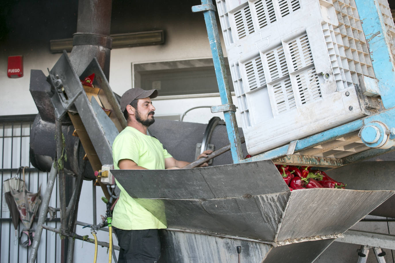 La fiesta del pimiento en imágenes