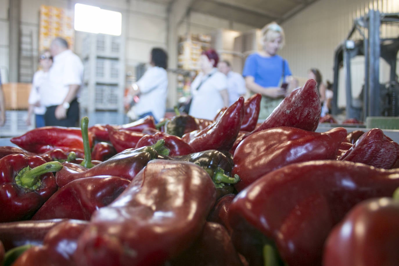 La fiesta del pimiento en imágenes