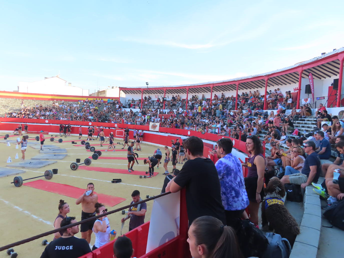 Todas las imágenes de La Rioja Arena Games