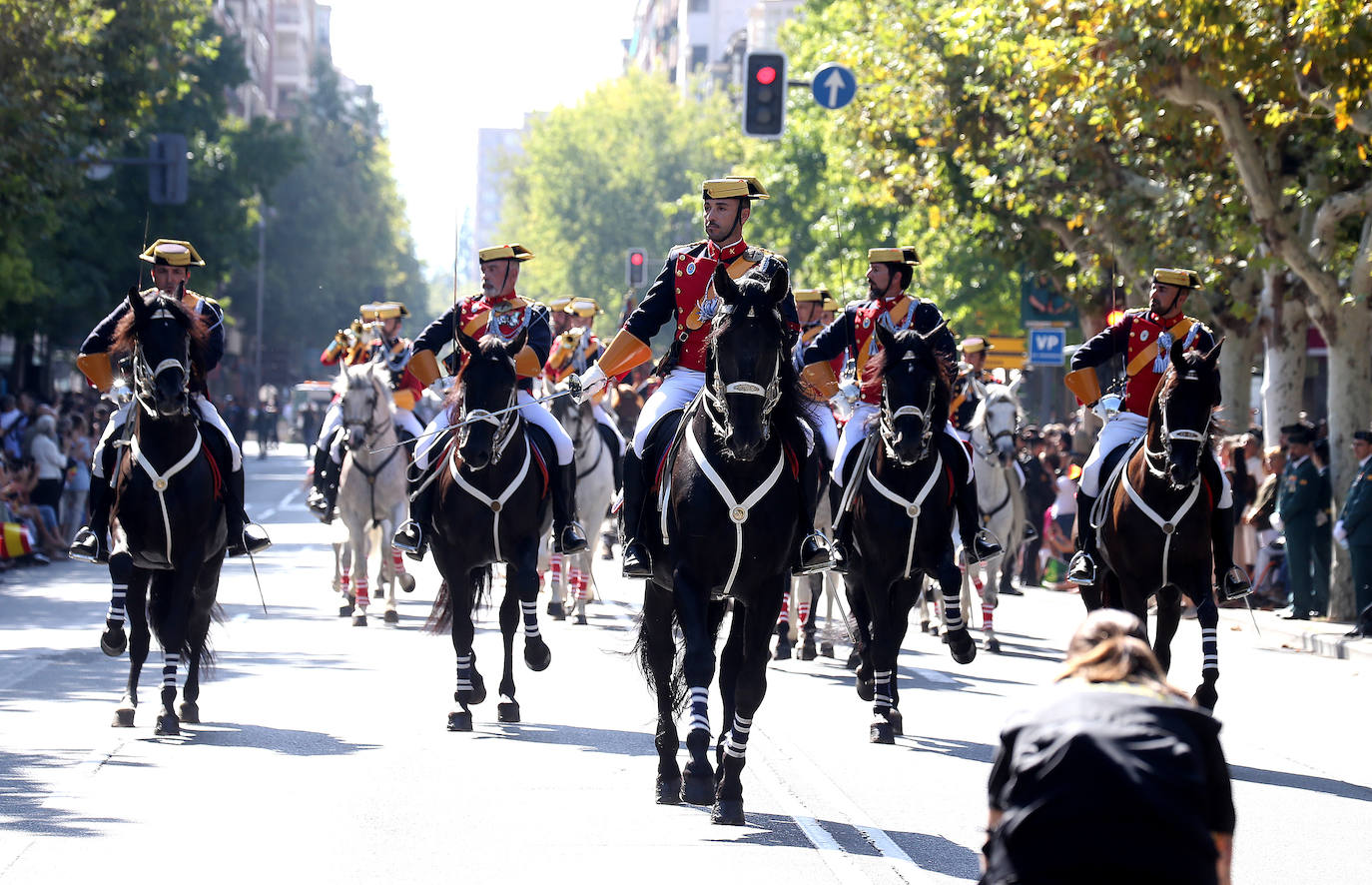 Desfile de la Guardia Civil