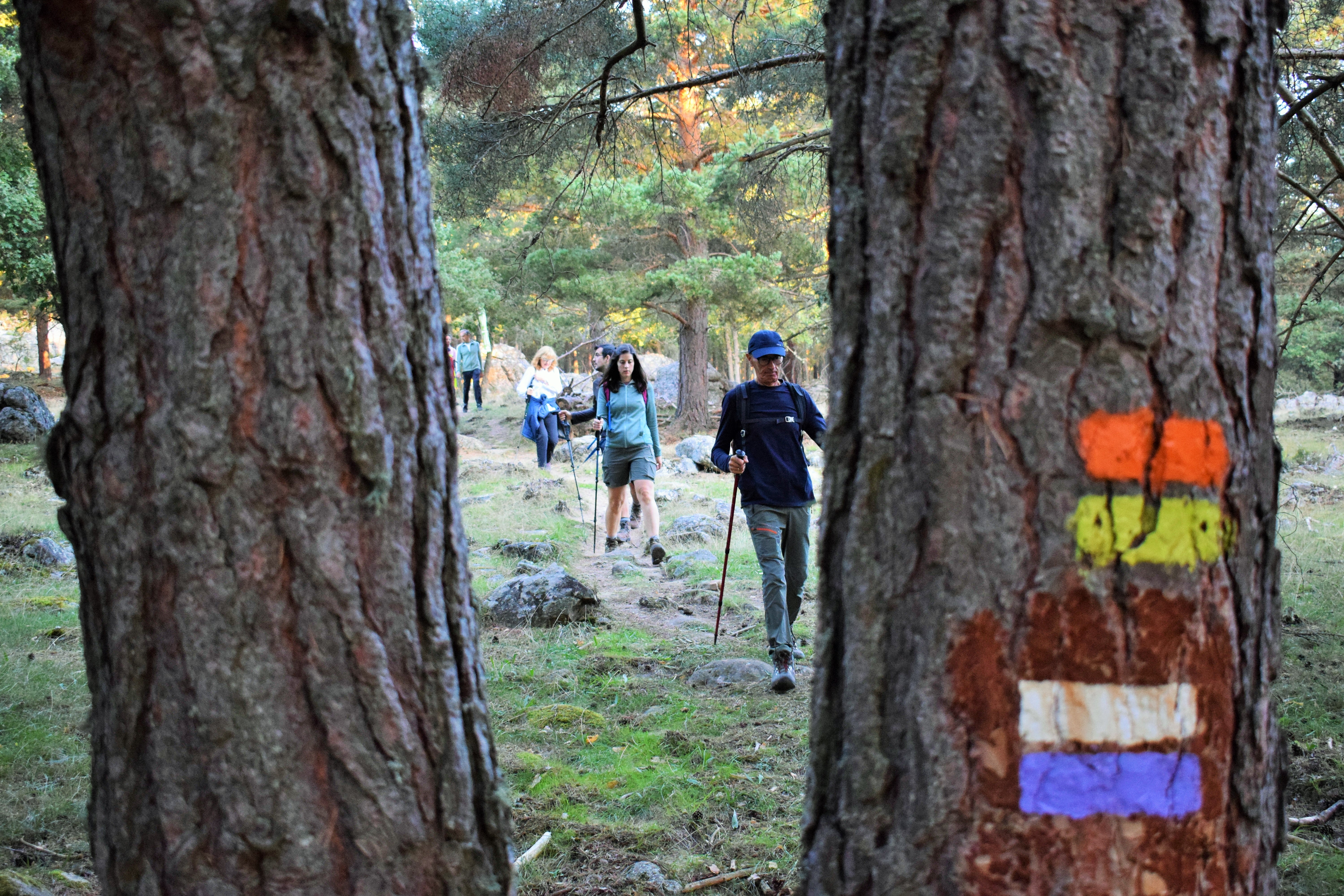 Instantes de la marcha de Hoyos