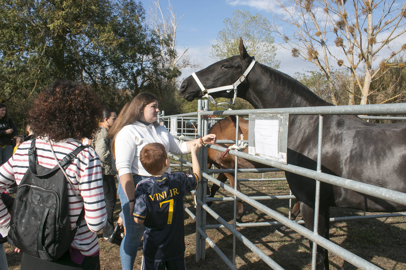 XIX Feria de ganado y de artesanía agroalimentaria de Ojacastro