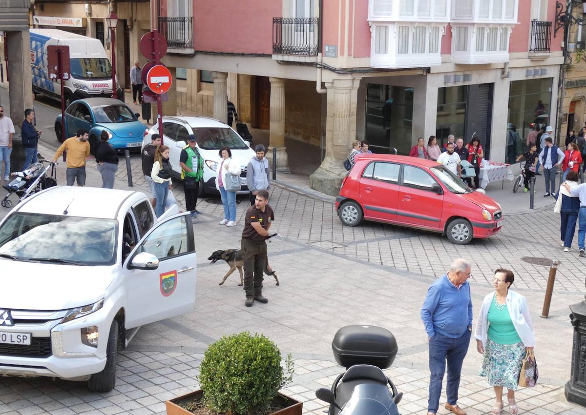 Imagen secundaria 1 - Susto en la plaza de la Paz de Haro por un perro fuera de control