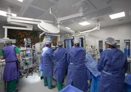 Profesionales sanitarios, durante una intervención quirúrgica en el Hospital San Pedro en una imagen de archivo.