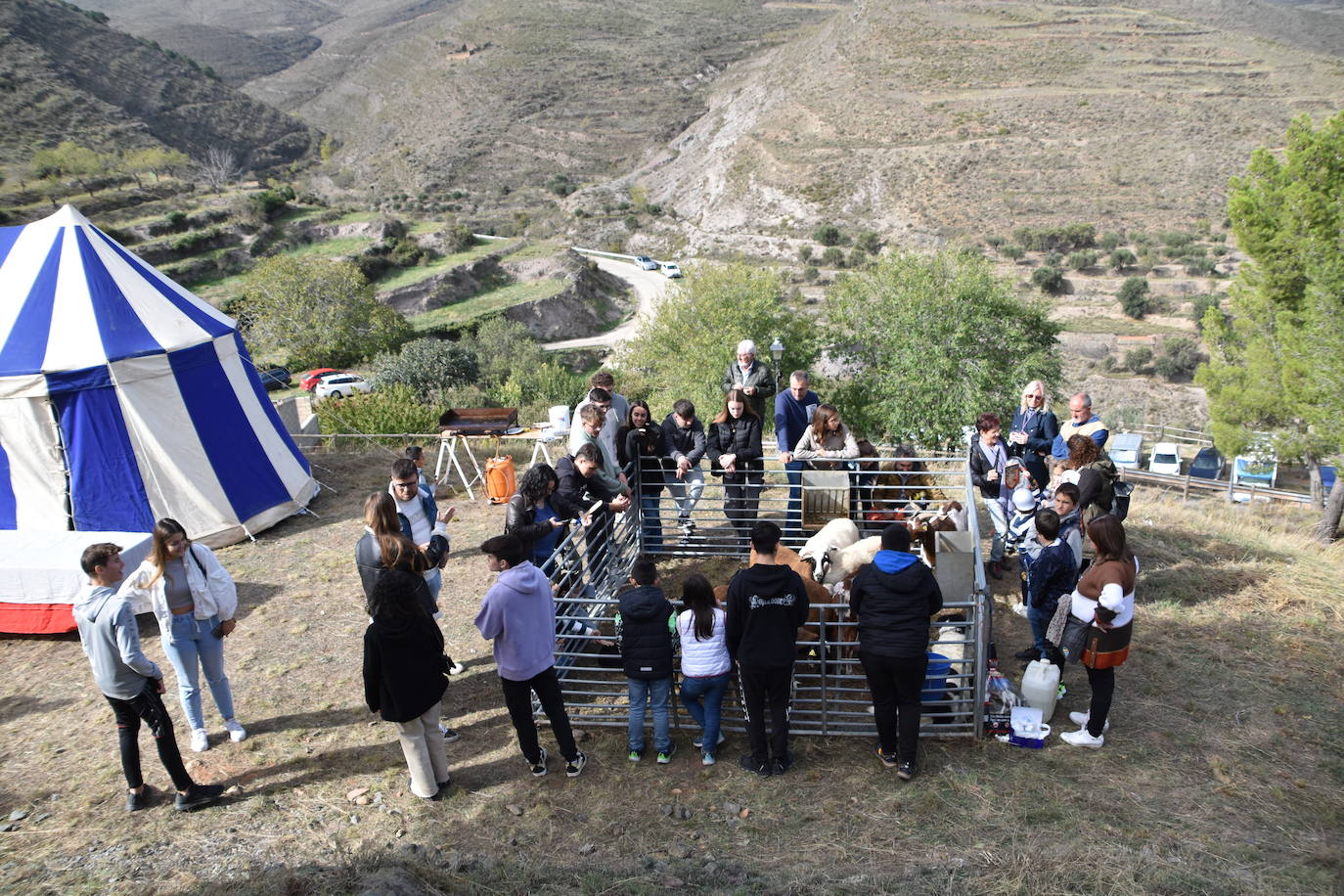 El domingo en las XVI Jornadas Medievales de Cornago