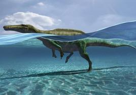 Ilustración de un dinosaurio nadando en el agua y dejando sus huellas en la arena.