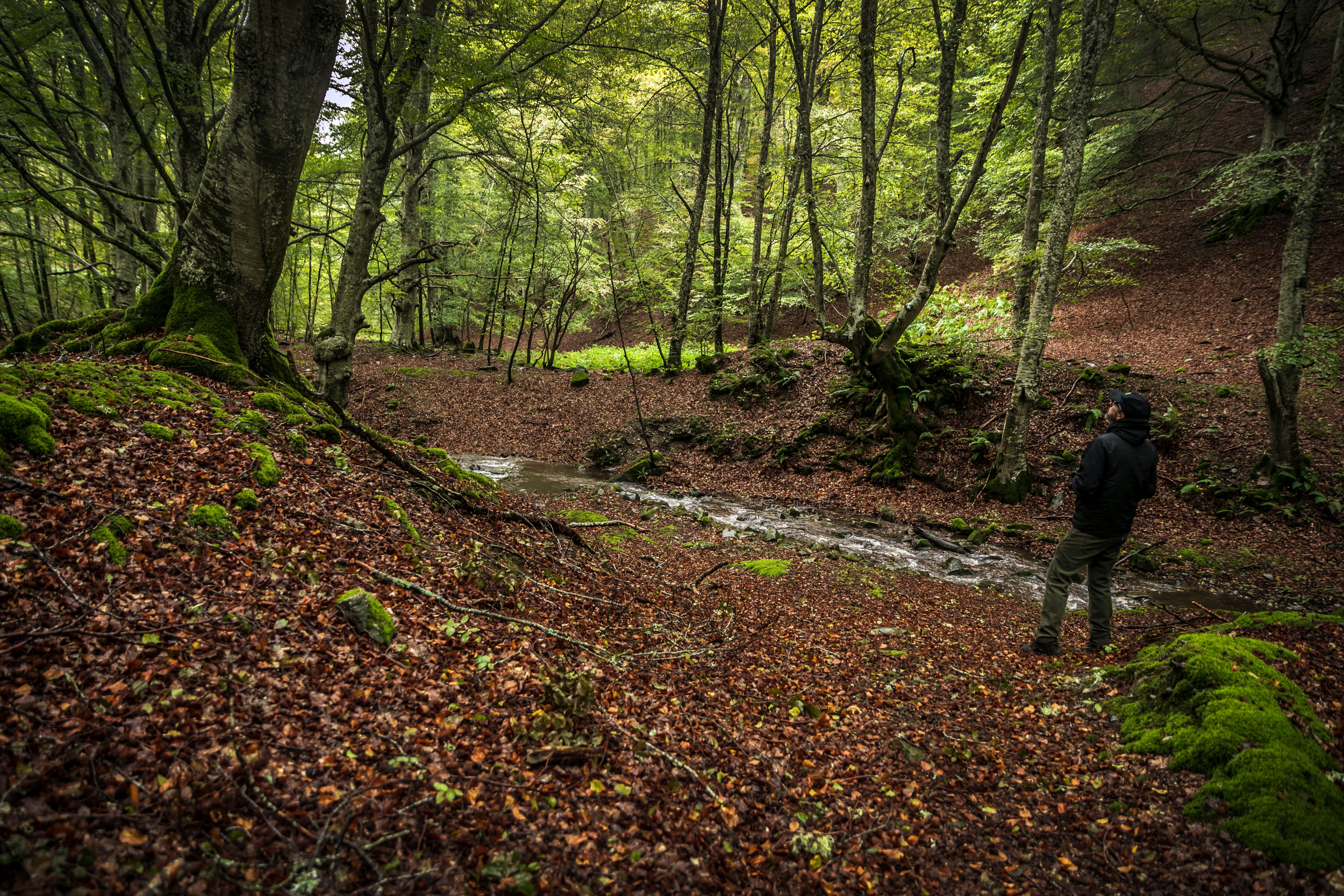 Rutas de otoño por La Rioja en imágenes