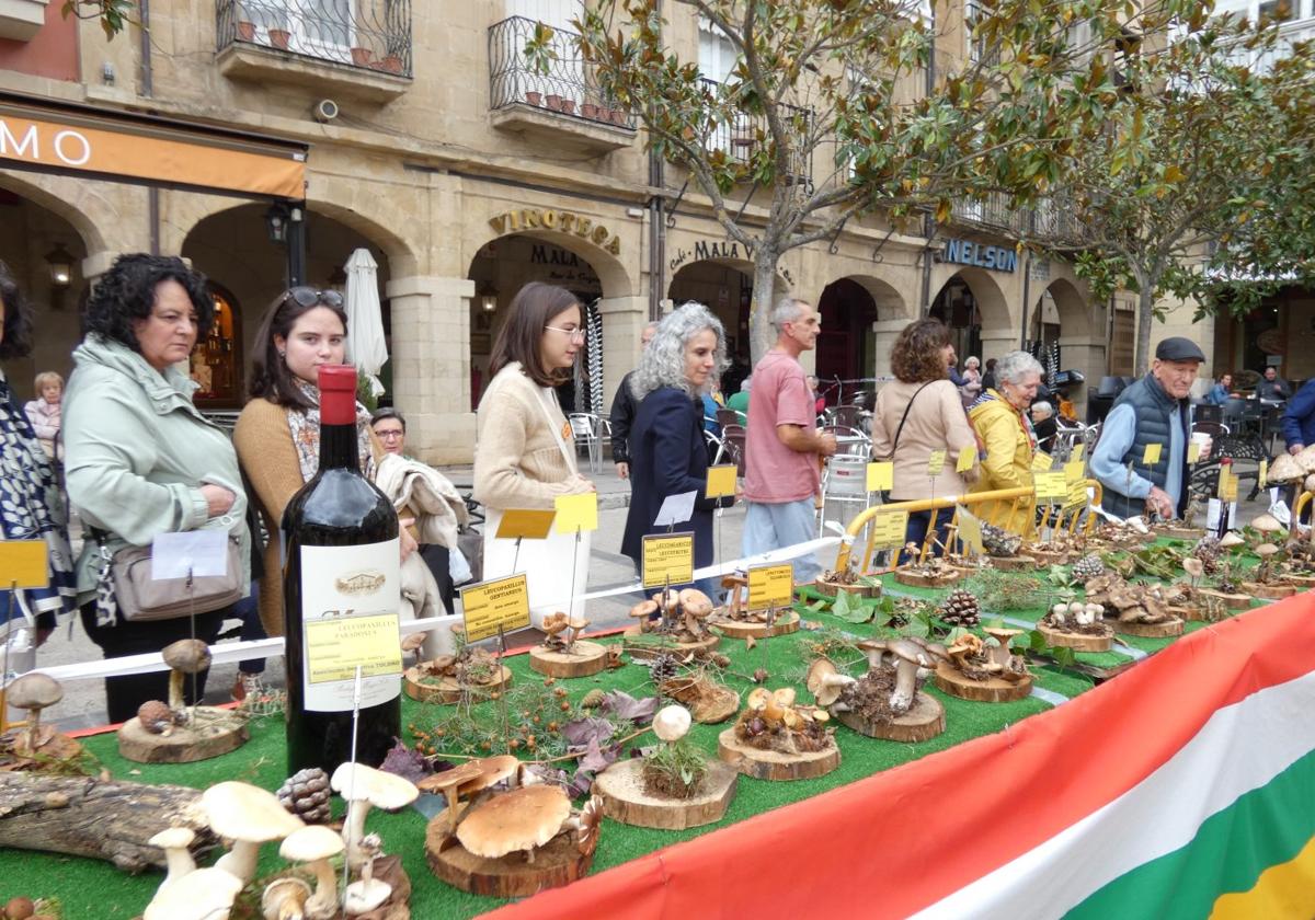 Los visitantes recorrían las mesas disfrutando de la clasificación de las especies.