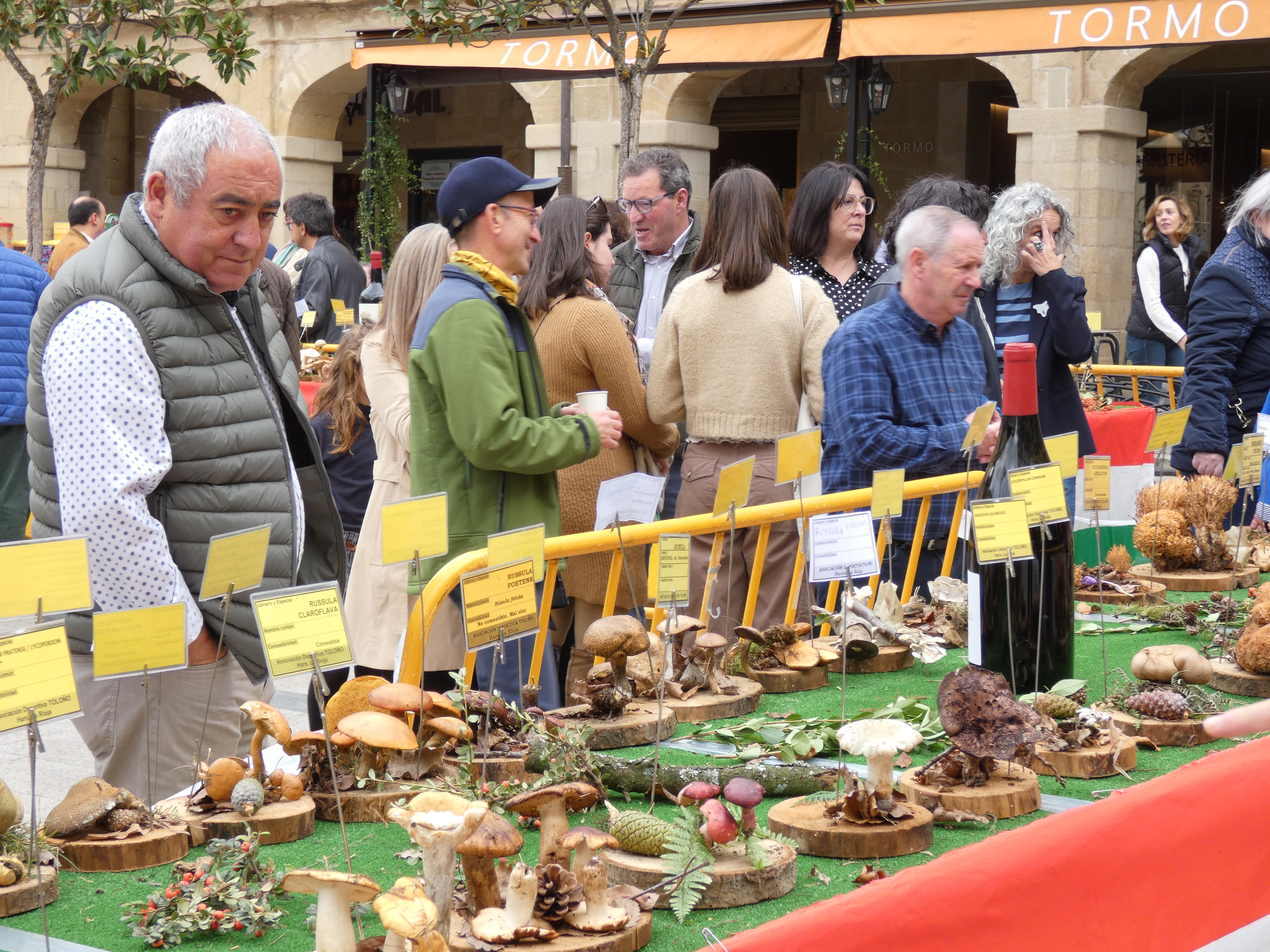 Haro disfruta este domigno de las XXIX Jornadas Micológicas