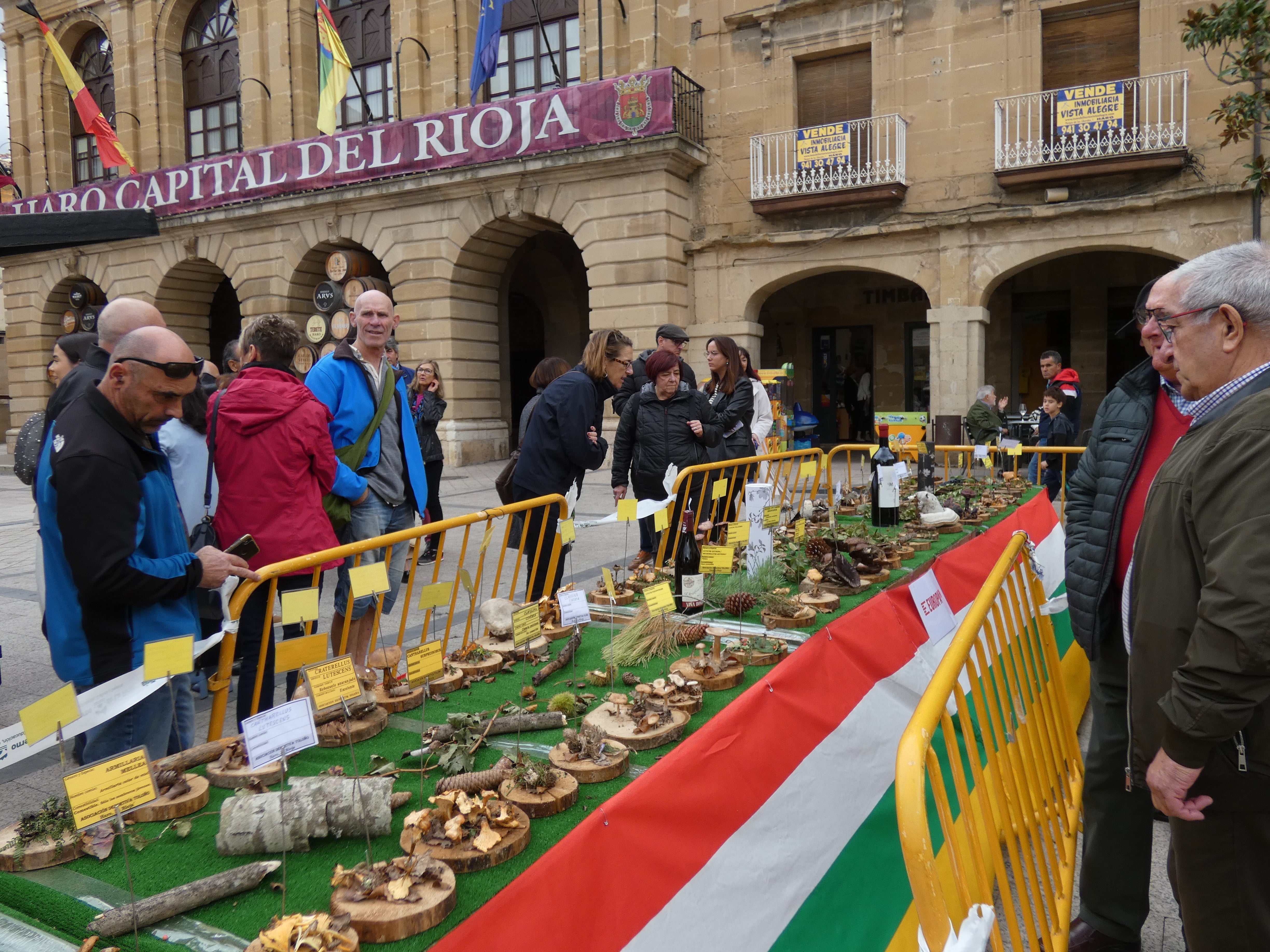 Haro disfruta este domigno de las XXIX Jornadas Micológicas