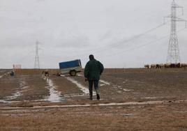 El propietario de los perros que mataron a una mujer en Roales llega a su finca con un nuevo perro.