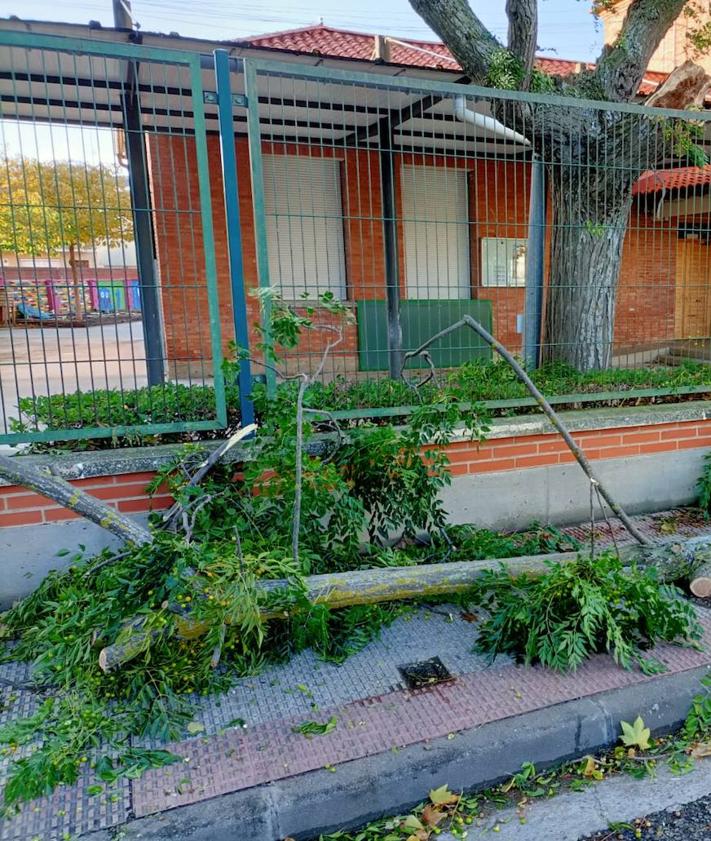 Imagen secundaria 2 - Múltiples incidencias en Logroño por los fuertes vientos