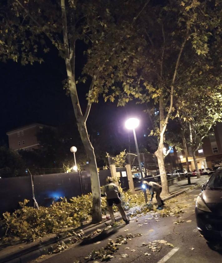 Imagen secundaria 2 - Caseta de columpios caída en el parque Escocia y ramas caídas en las aceras de las calles Nestares y Duques de Nájera.