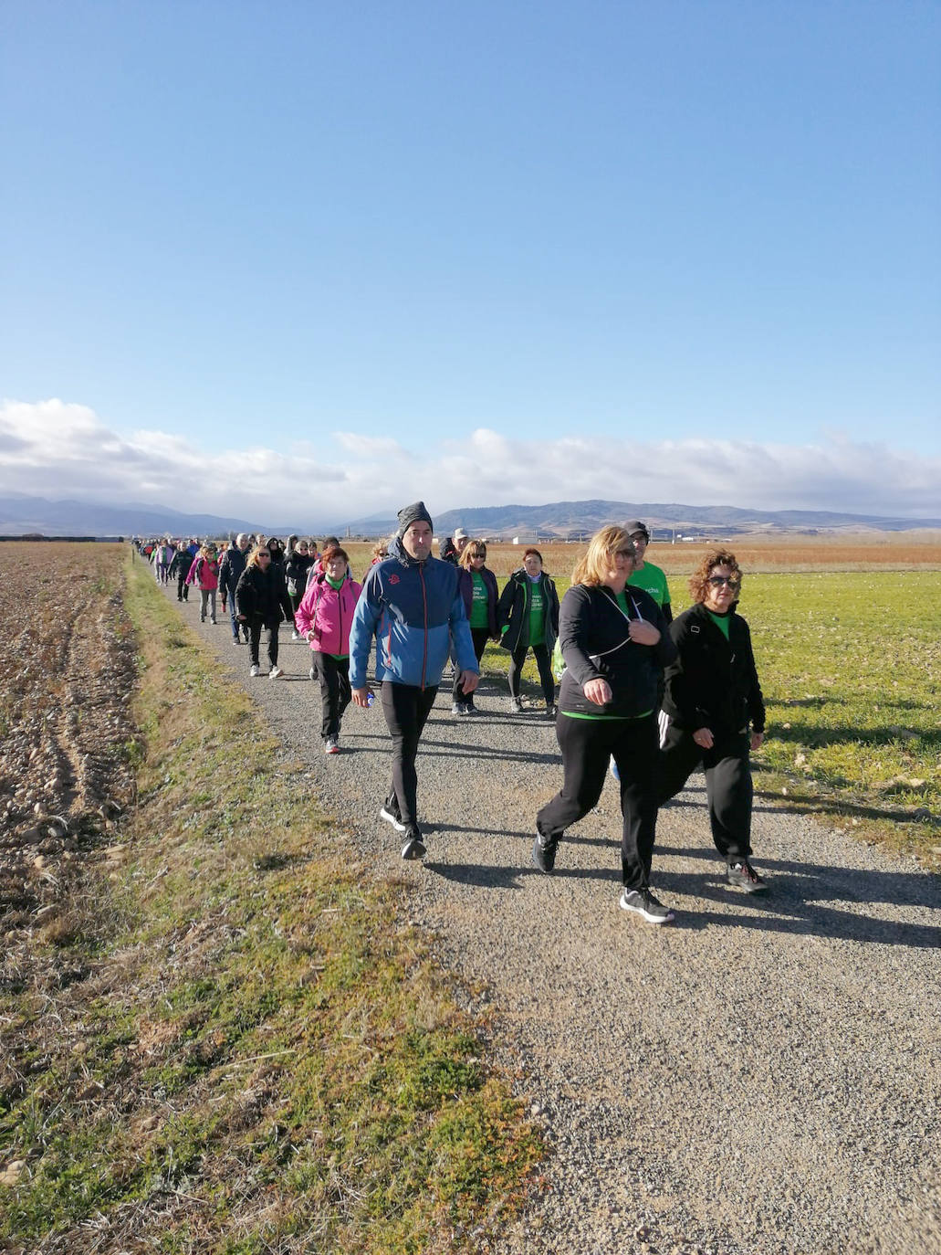 &#039;En marcha contra el cáncer&#039;, en Santo Domingo