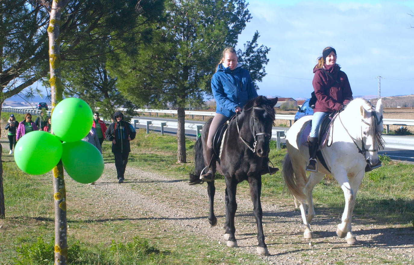 &#039;En marcha contra el cáncer&#039;, en Santo Domingo