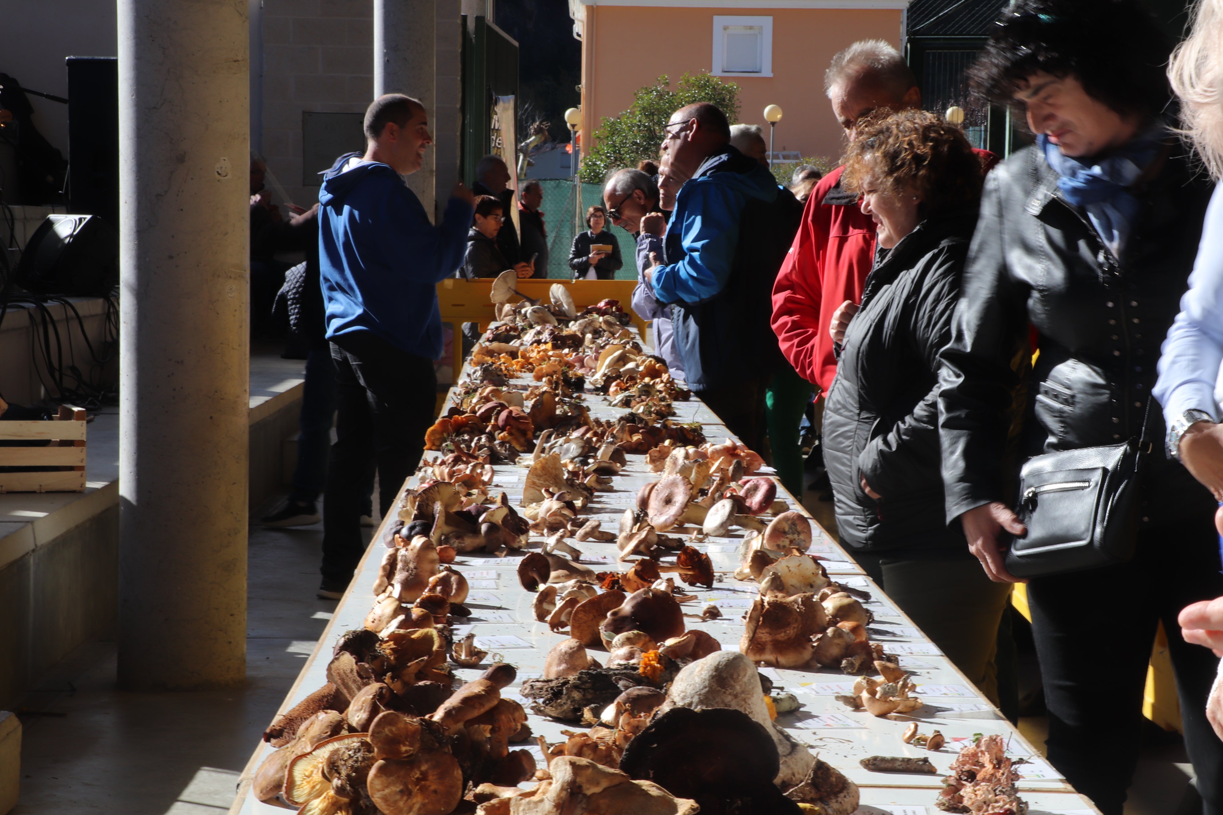 Jornadas micológicas en Arnedillo