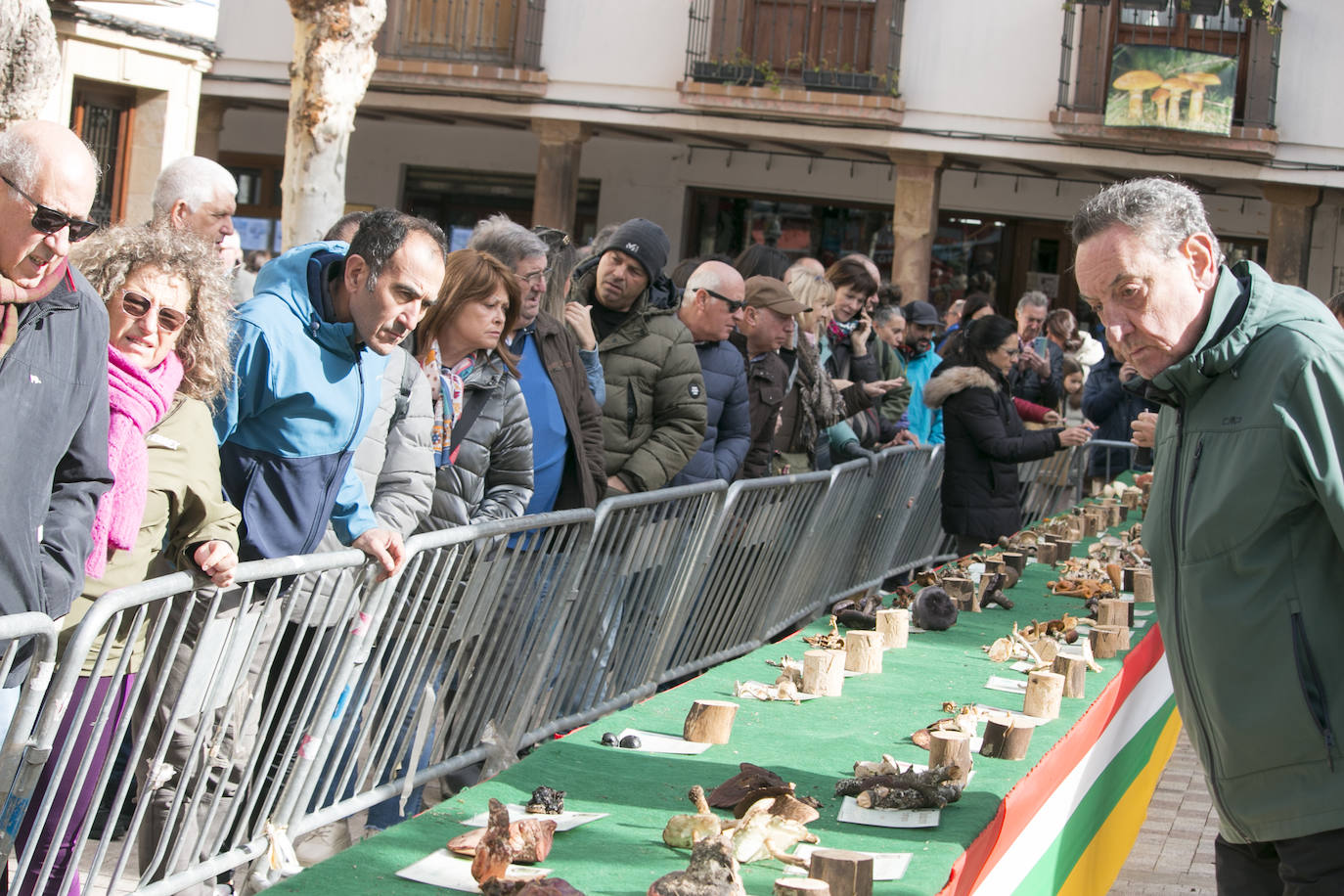 XXXI Jornadas Micológicas de Ezcaray