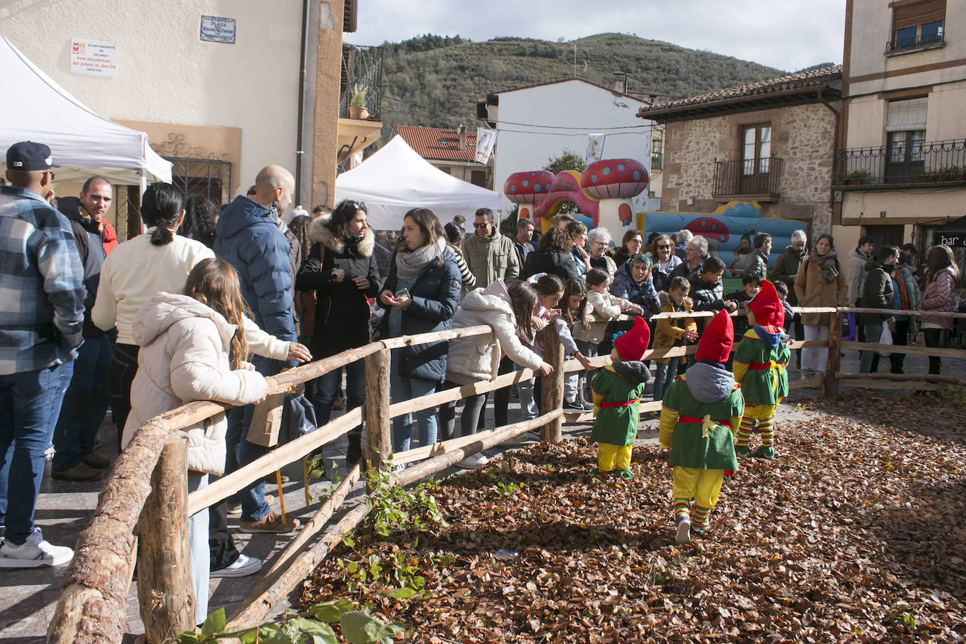 XXXI Jornadas Micológicas de Ezcaray