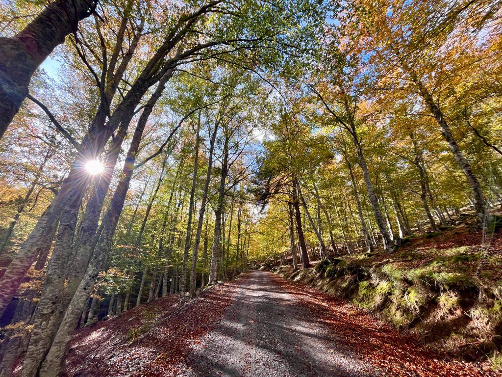 Otoño en el monte riojano