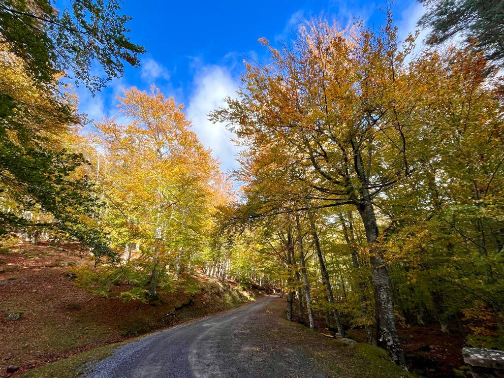 Otoño en el monte riojano