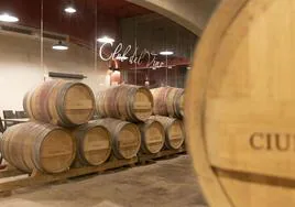 Club del vino de David Moreno, más de 20 años de experiencias singulares con vinos exclusivos