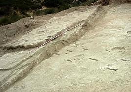 Detalles del yacimiento de La Sierra de las Cabras (Jumilla, Murcia) en que han sido halladas las huellas.