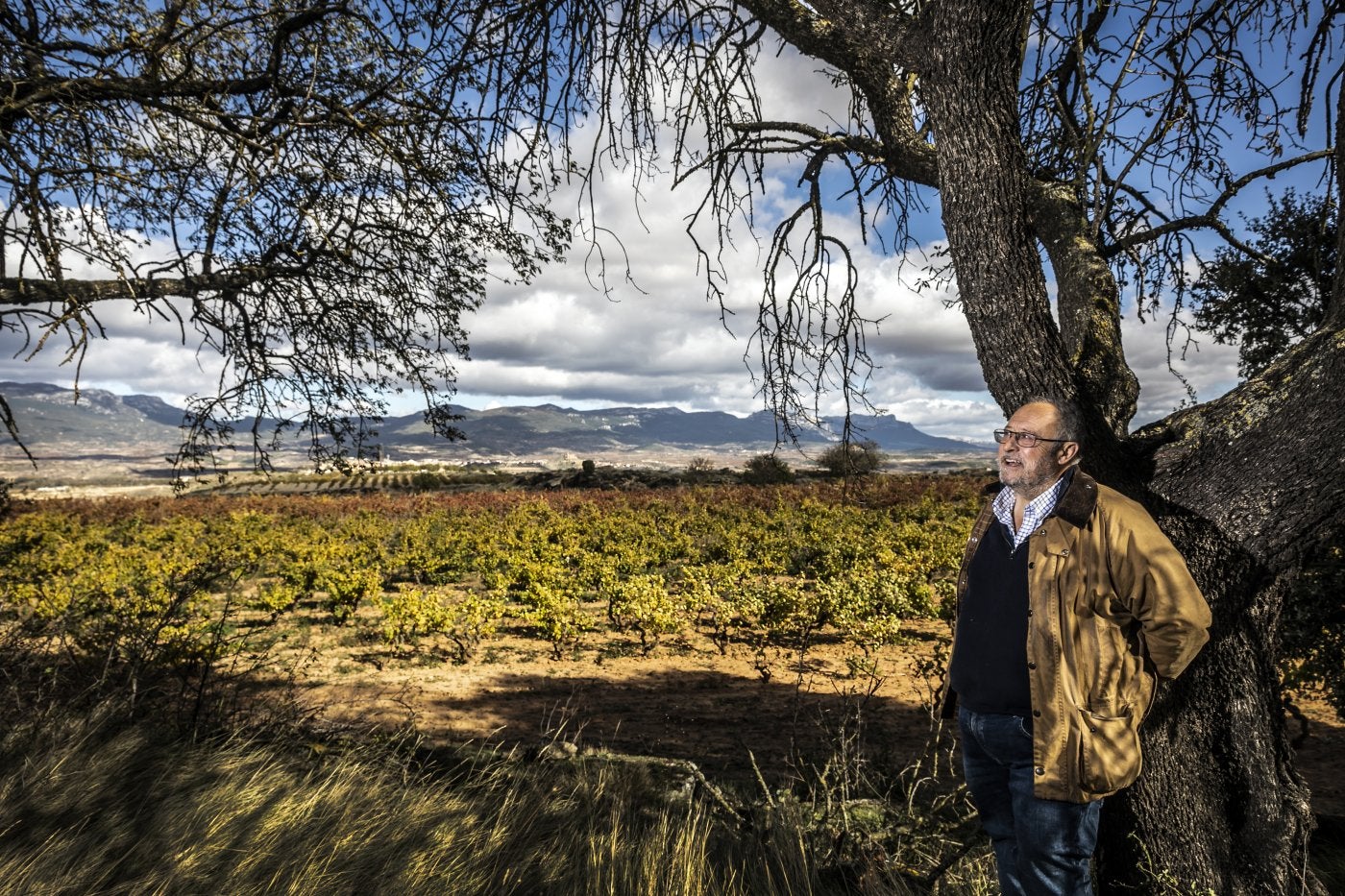 Paz, calma y magia en el viñedo de Briones.