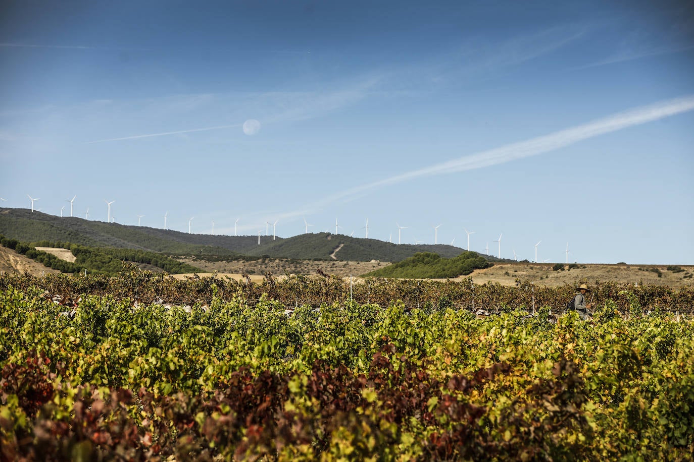 Los paisajes del Rioja