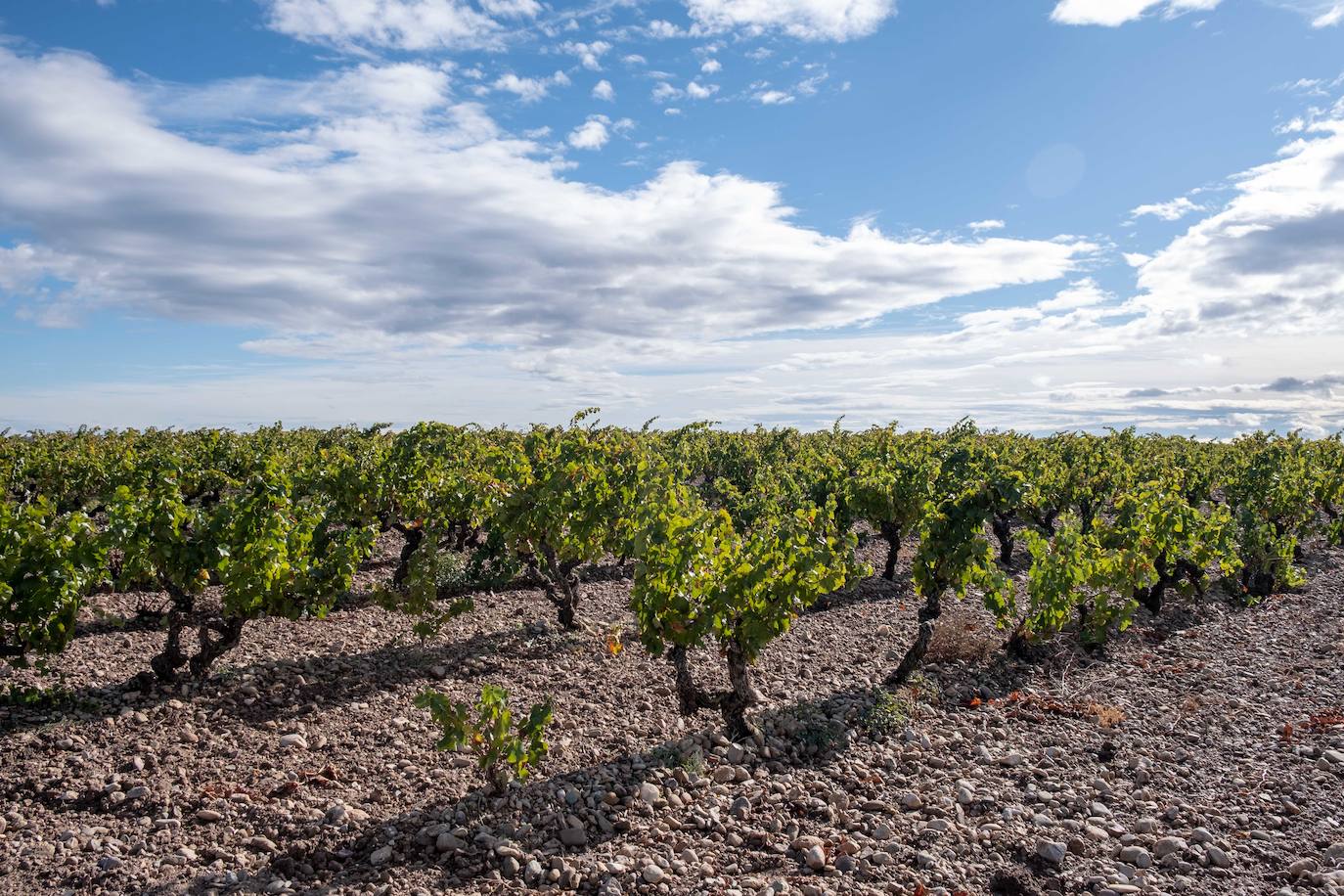 Los paisajes del Rioja