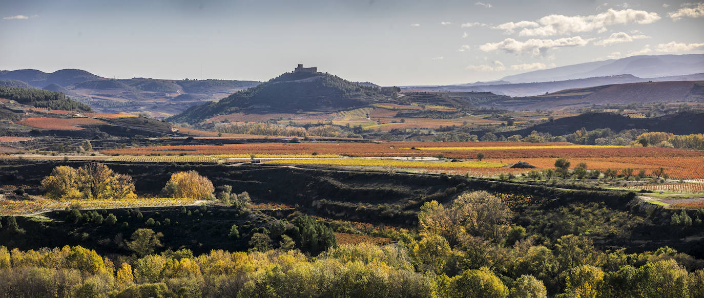 Los paisajes del Rioja