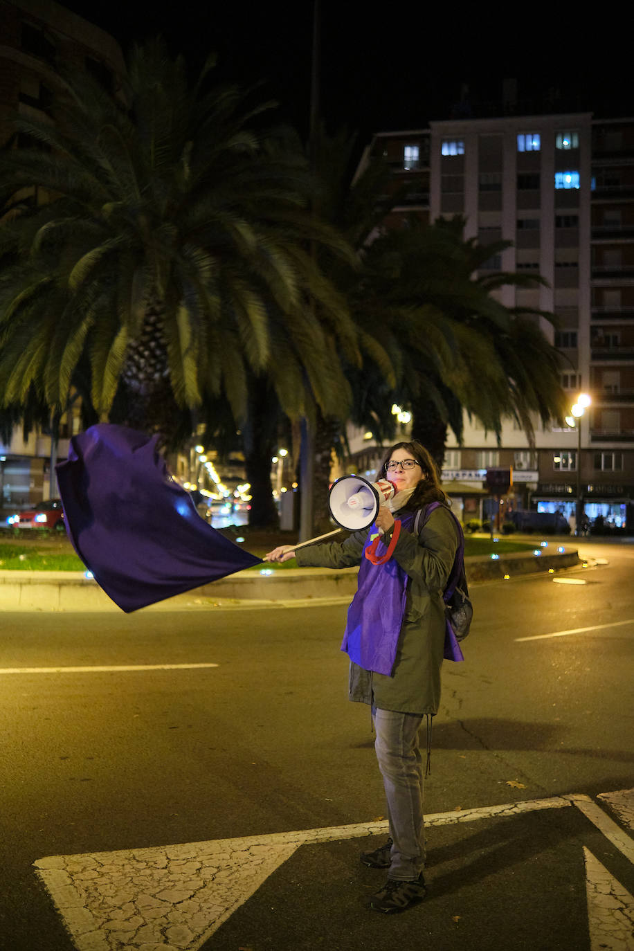 Las imágenes de la manifestación del 25N en Logroño