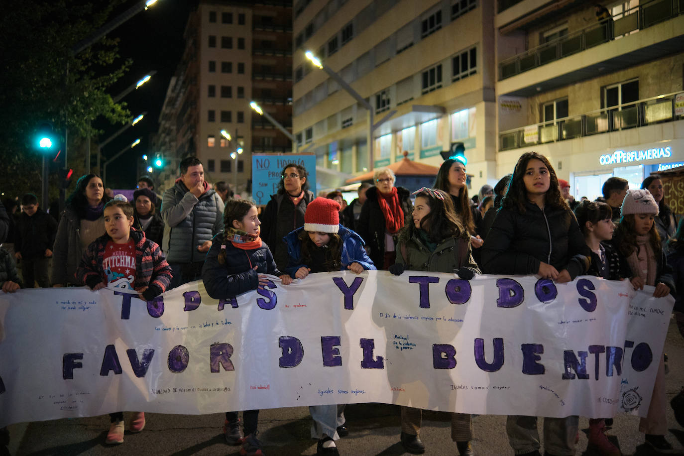 Las imágenes de la manifestación del 25N en Logroño