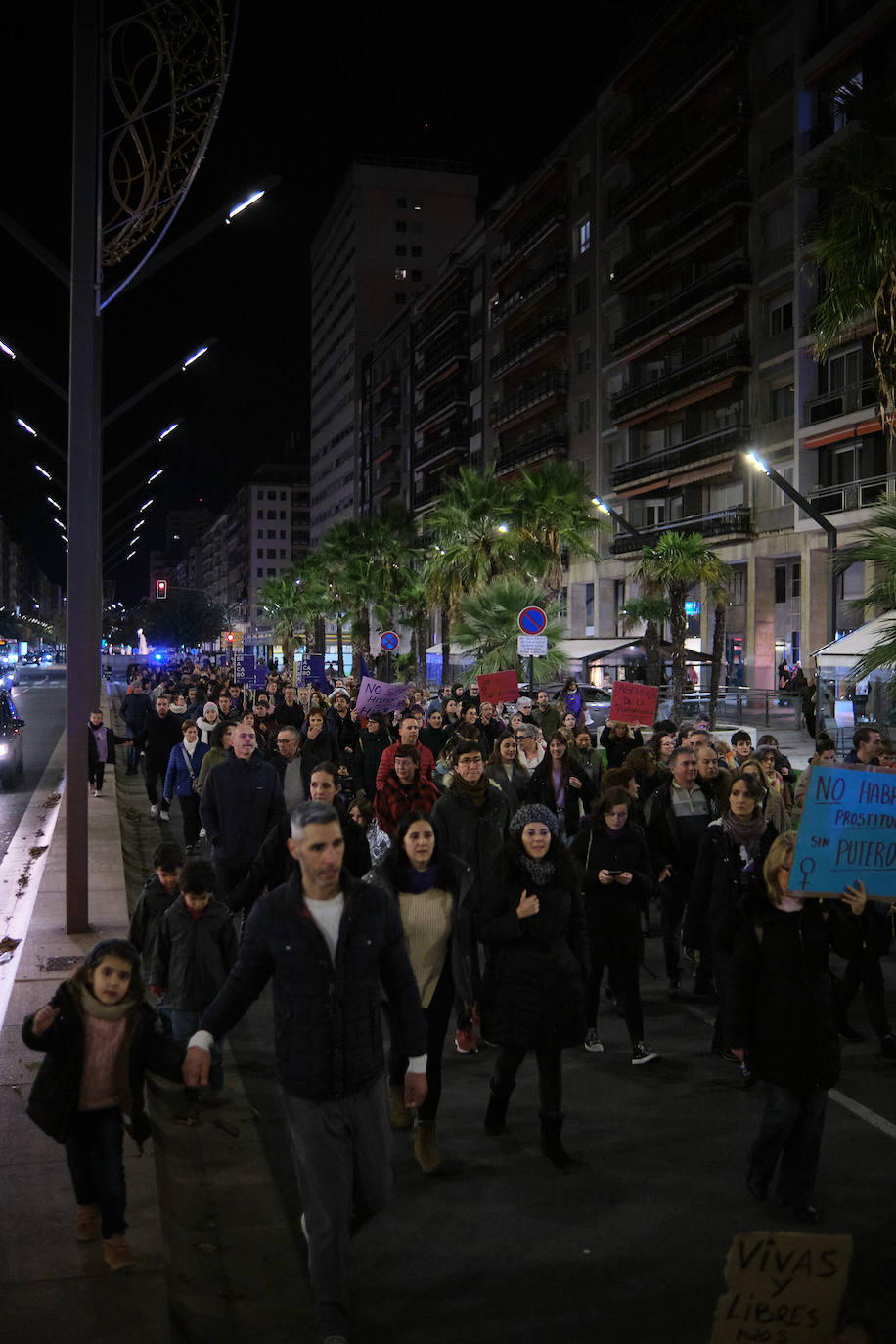 Las imágenes de la manifestación del 25N en Logroño