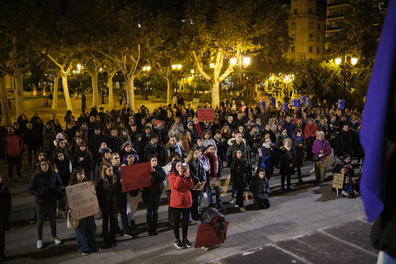 Las imágenes de la manifestación del 25N en Logroño