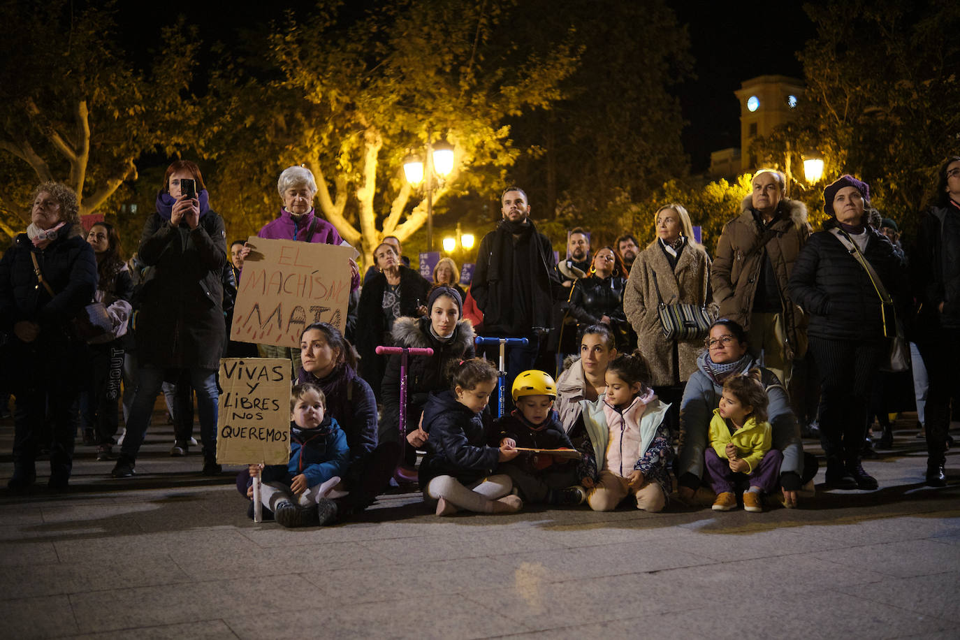 Las imágenes de la manifestación del 25N en Logroño