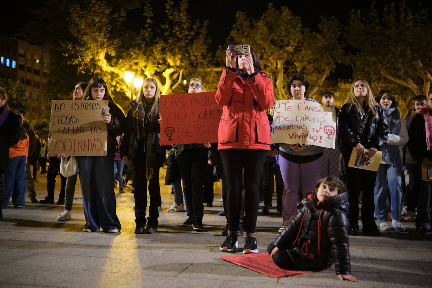 Las imágenes de la manifestación del 25N en Logroño