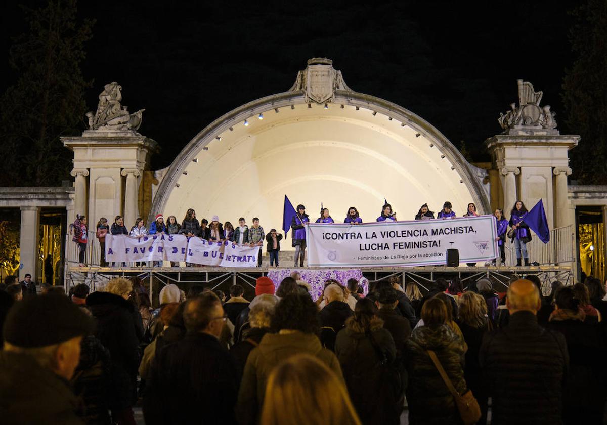 Las imágenes de la manifestación del 25N en Logroño