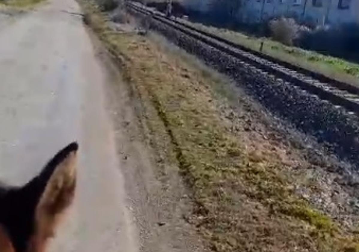 El pastor recorre la cañada a caballo.