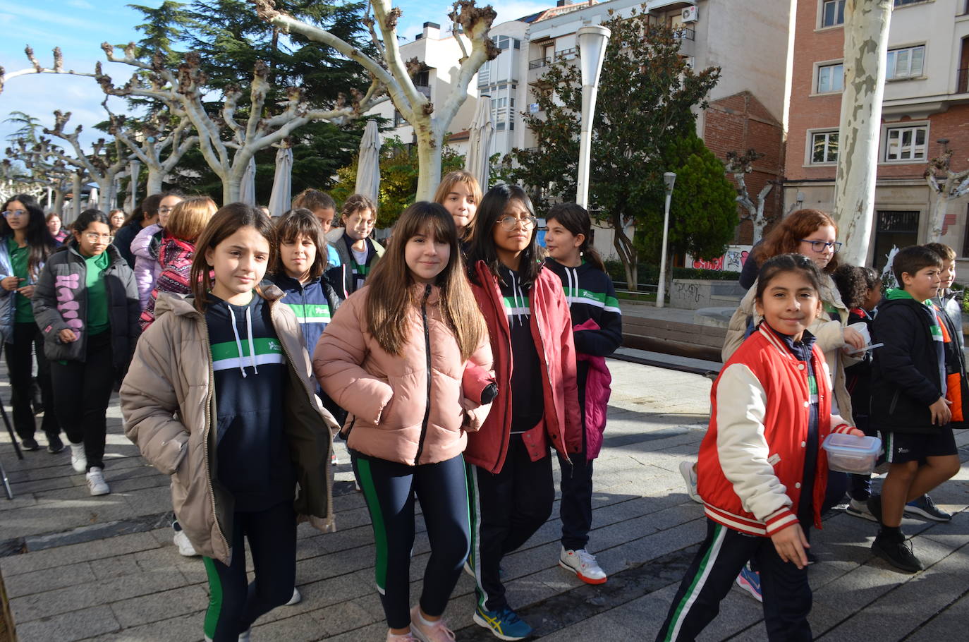 Marcha por el Día Internacional de las Personas con Discapacidad