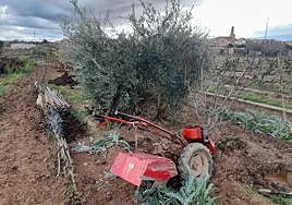 La maquinaria permanece en la zona en la que sucedió el accidente.
