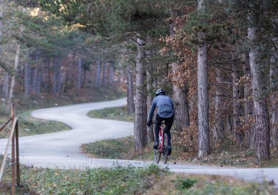 Un ciclista en la carretera de subida a Moncalvillo.