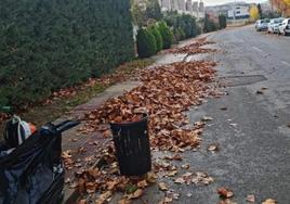 Recogida de hojas en la avenida de Caballeros Templarios este otoño.